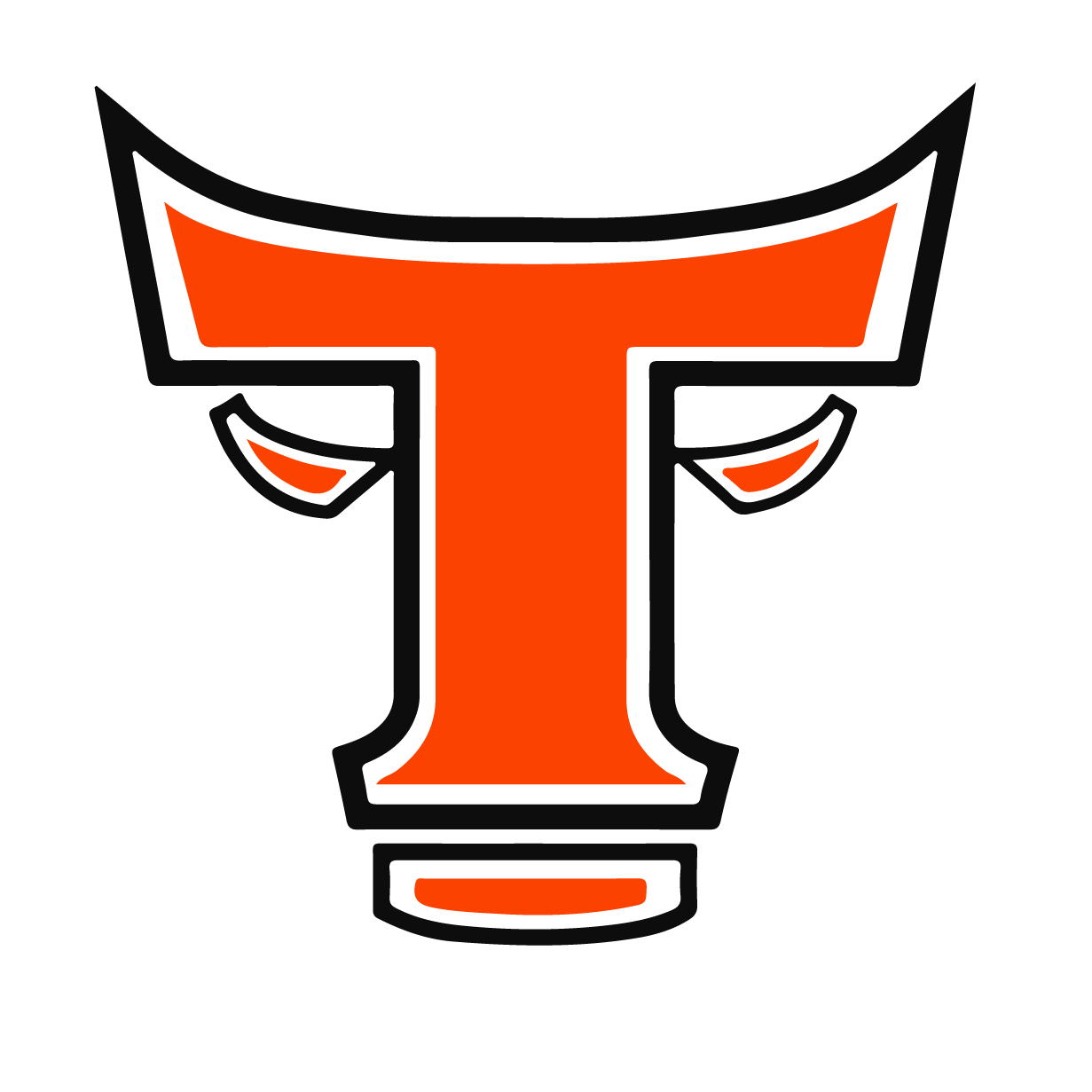 TOROS